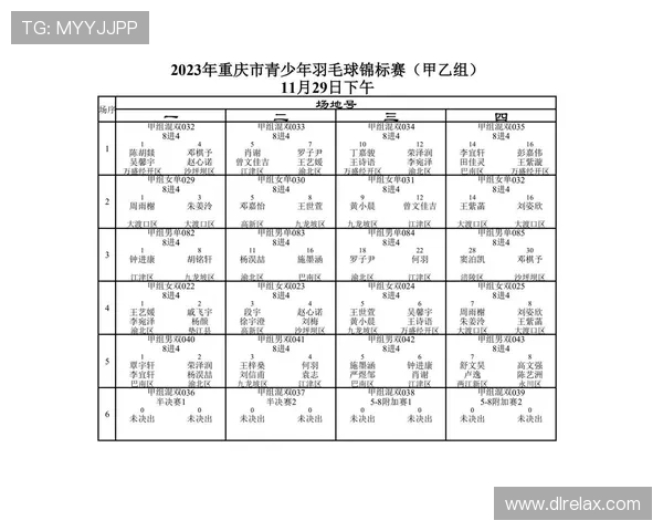 重庆羽毛球队的力量变革引发热议探讨运动发展新趋势