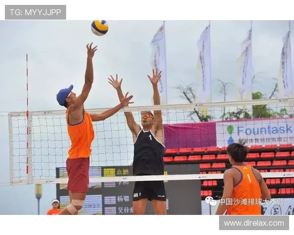 南京排球队大满贯点评:团队配合展现出色实力与默契精神